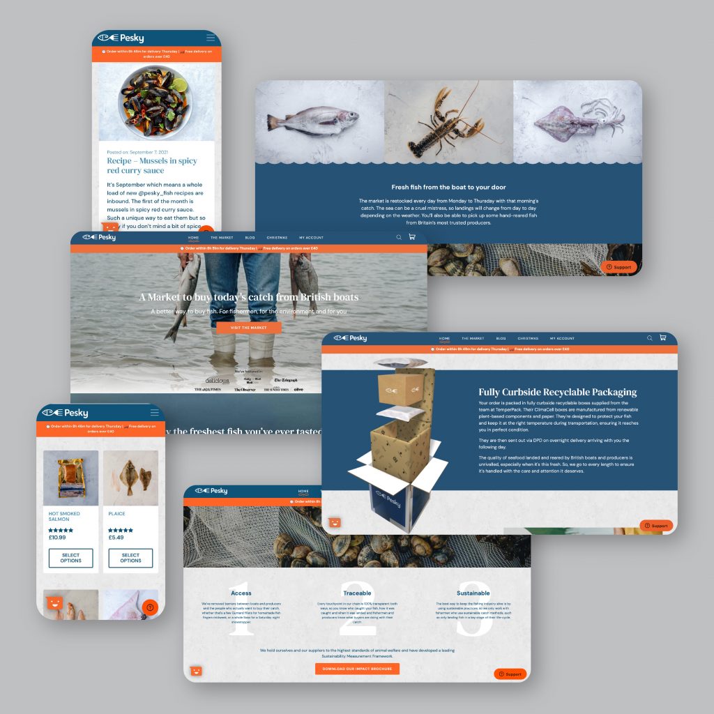 web design cyprus branded website