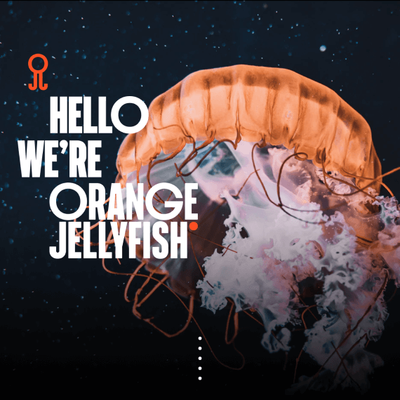 orange jellyfish