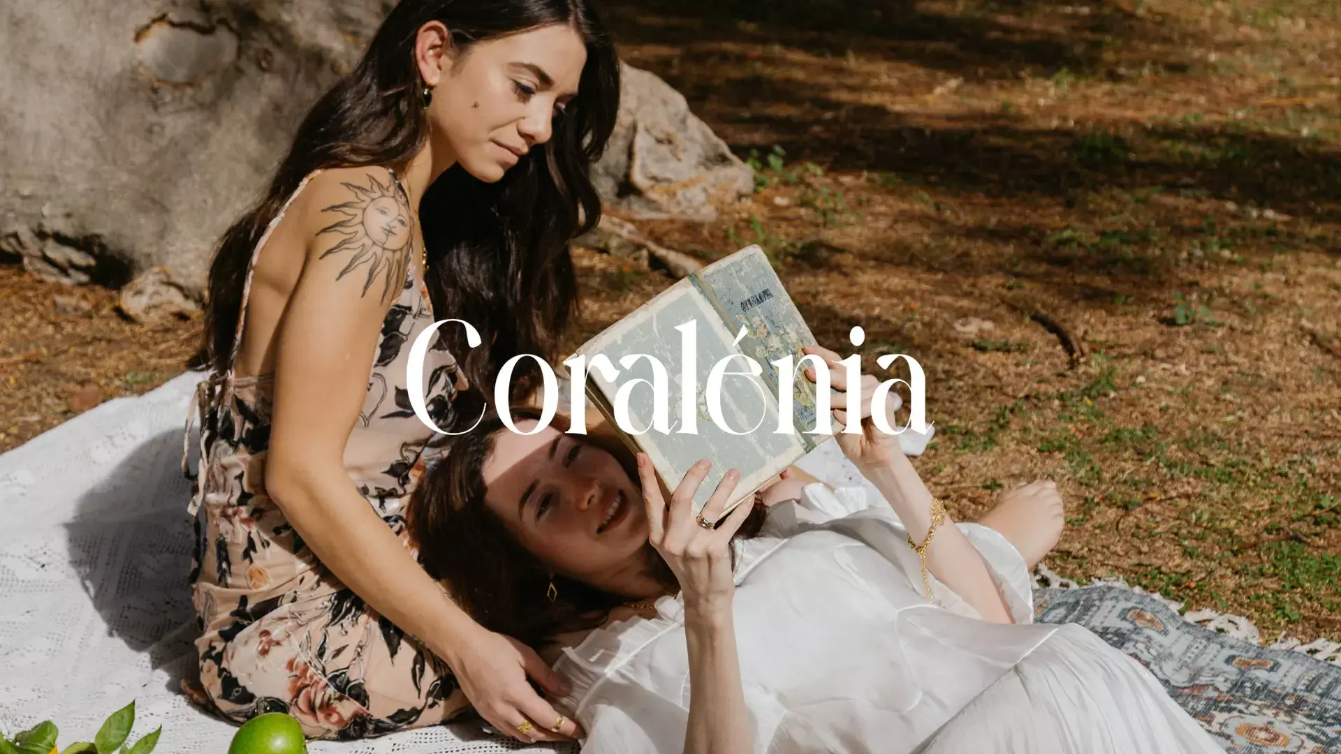 web design cyprus branding case study